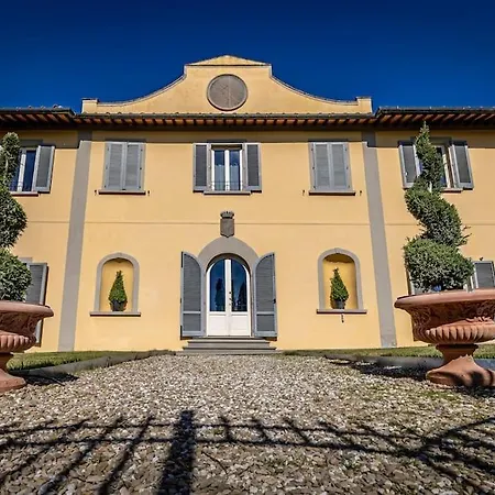 Luxury Tolomei Gucci With