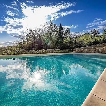 Luxury Tolomei Gucci With *