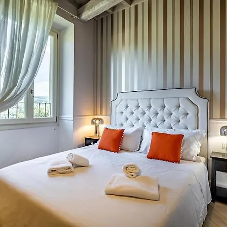 Luxury Tolomei Gucci With