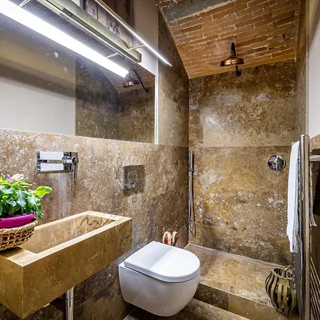 Luxury Tolomei Gucci With *