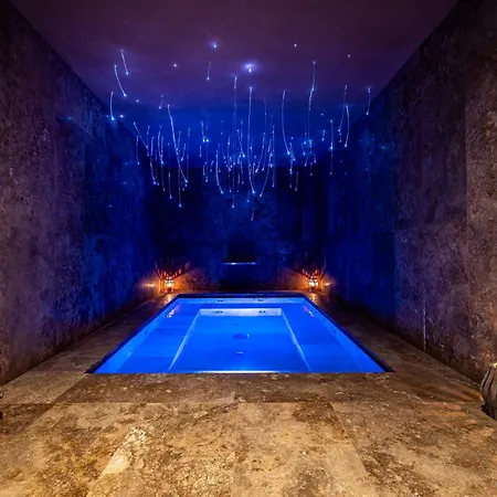 Luxury Tolomei Gucci With