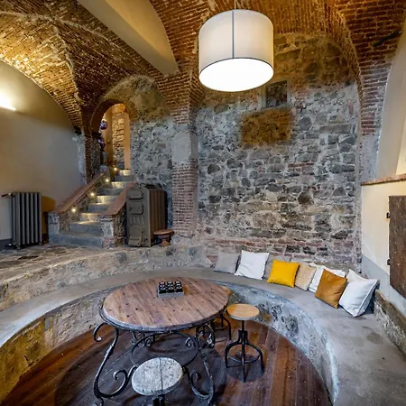 Luxury Tolomei Gucci With